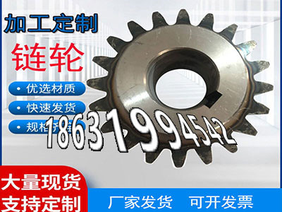 不锈钢齿轮保养矿用链轮保养人字齿轮那里有卖齿轮价格精密齿轮质量好输送刮板机链轮批发厂家